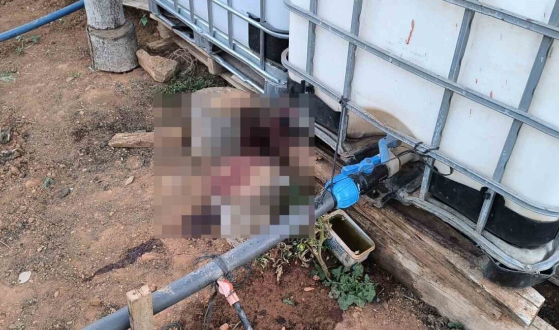 Kırşehir’de bahçe sulama anlaşmazlığı nedeniyle çıkan kavgada bir kişi, komşusunu