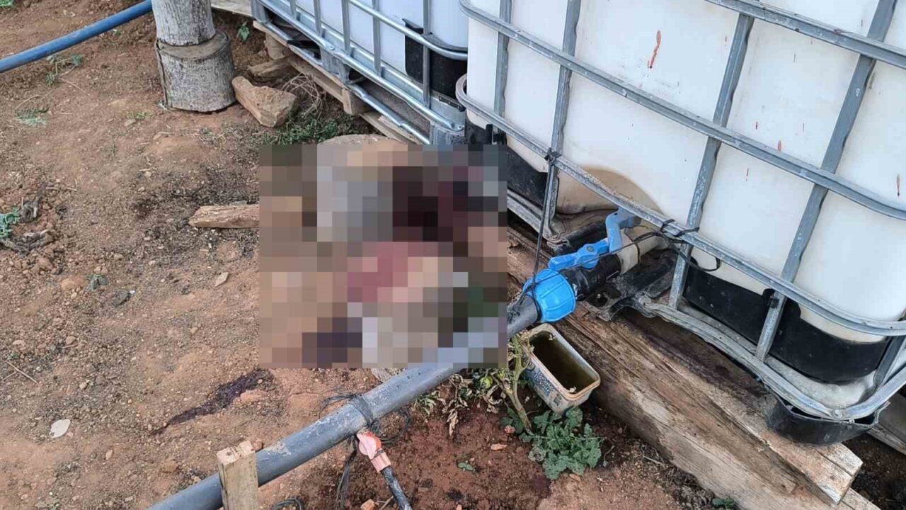 Kırşehir’de bahçe sulama anlaşmazlığı nedeniyle çıkan kavgada bir kişi, komşusunu