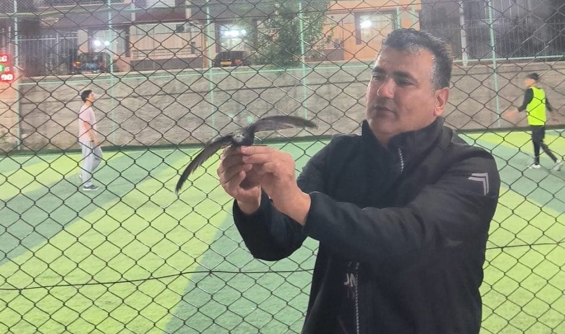 Kırşehir’de bir vatandaş, yaralı ebabil kuşunu kurtararak Doğa Koruma ve