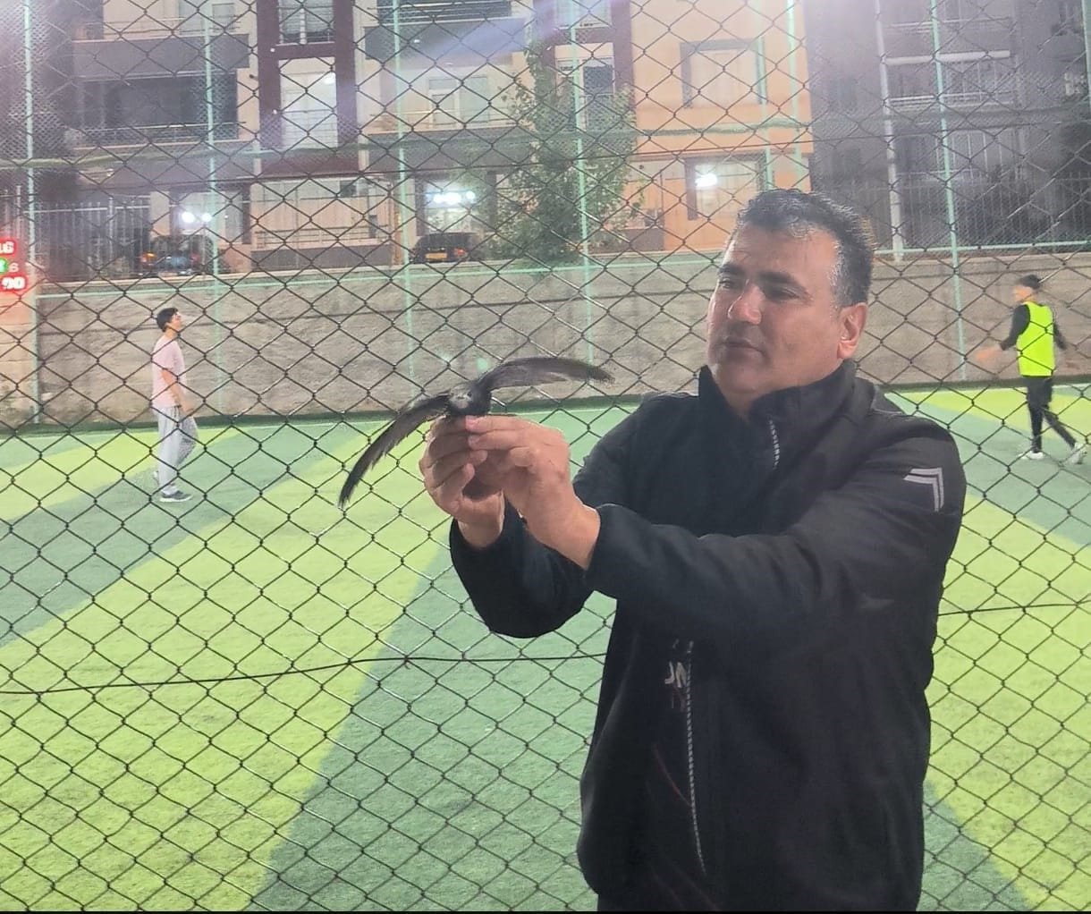 Kırşehir’de bir vatandaş, yaralı ebabil kuşunu kurtararak Doğa Koruma ve