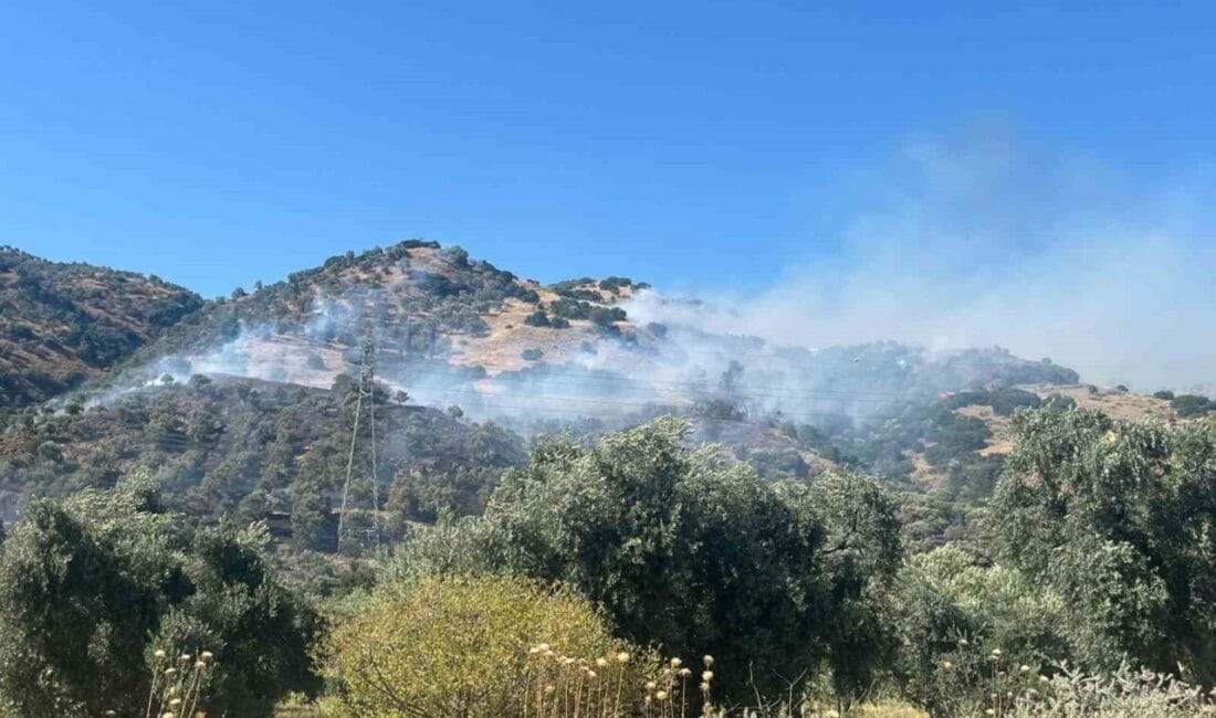 Aydın’ın Efeler ilçesinde zirai alanda çıkan yangın ekiplerin hızlı müdahalesi