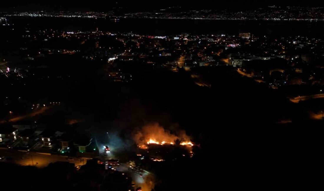 Kocaeli’nin Başiskele ilçesinde gece saatlerinde yerleşim yerlerine yakın noktada çıkan