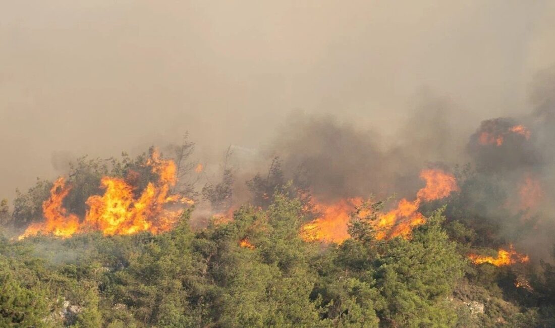 Kocaeli Büyükşehir Belediyesi itfaiye ekipleri, Sakarya’nın Geyve ilçesindeki orman yangınını