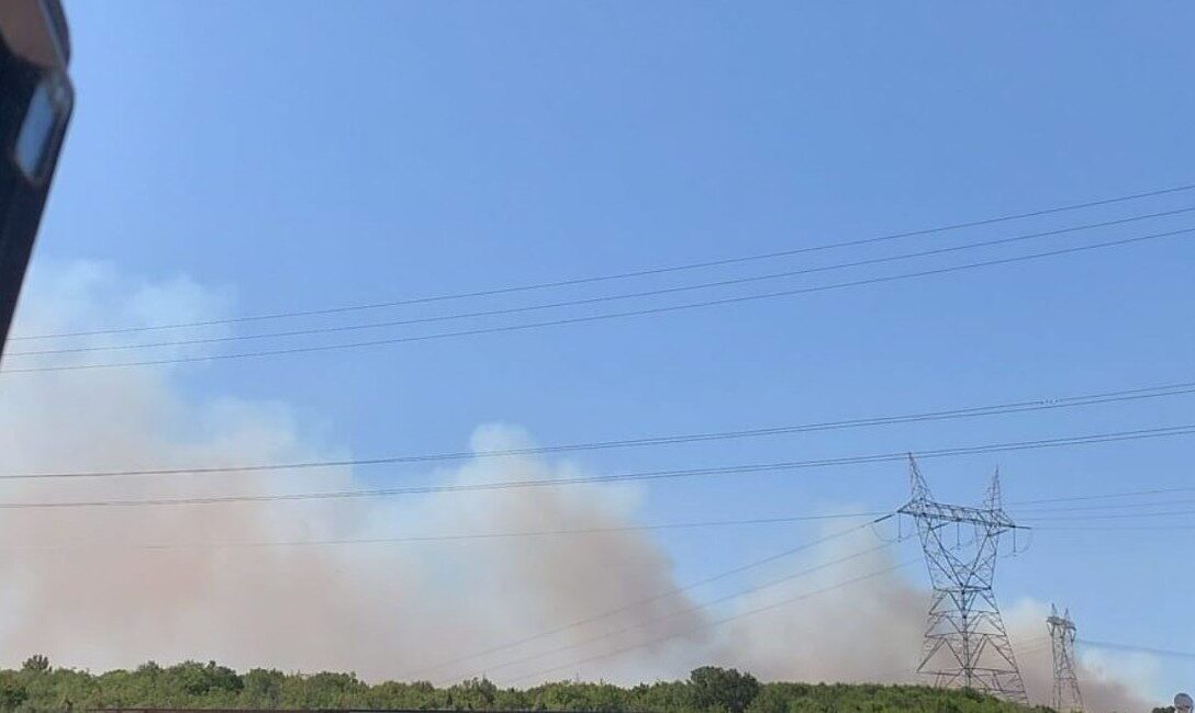 Kocaeli’nin Gebze ilçesinde ormanlık alanda yangın çıktı. Edinilen bilgiye göre,