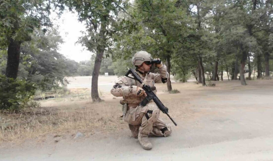Türkiye genelinde çıkan orman yangınlarında ormanlık alanlar büyük zarar görürken,