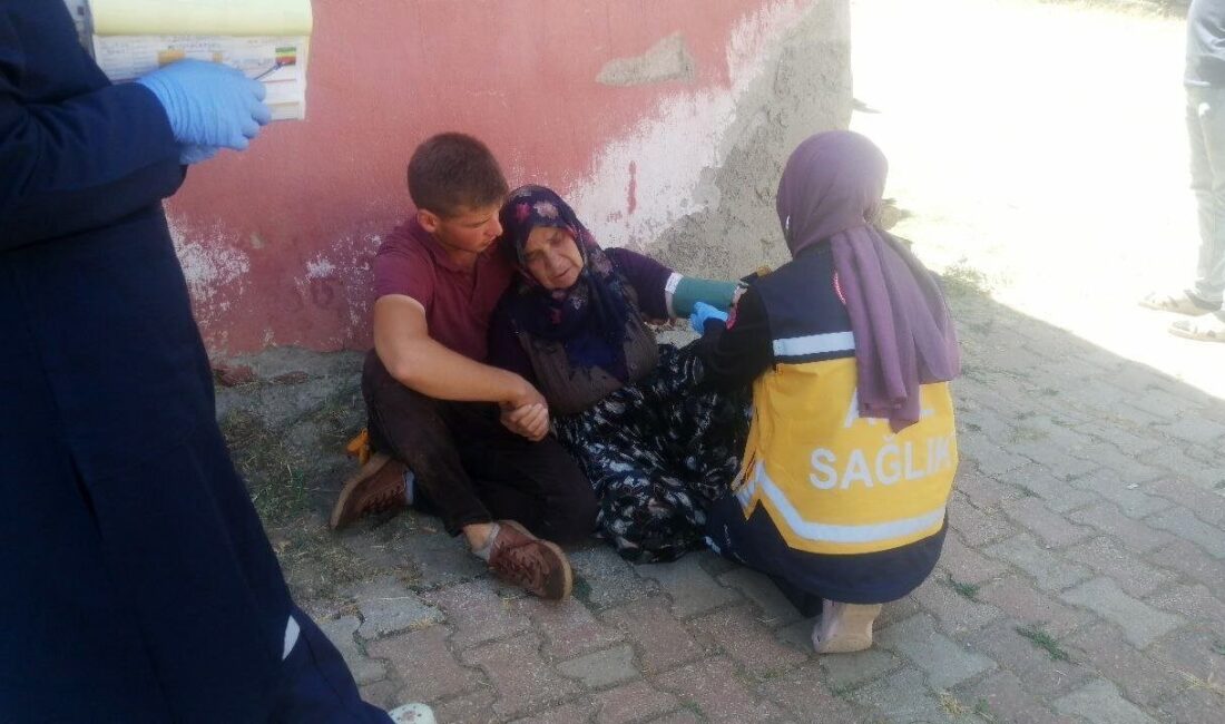 Isparta’nın Yalvaç ilçesinde bir evin odunluğunda çıkan yangın korku dolu