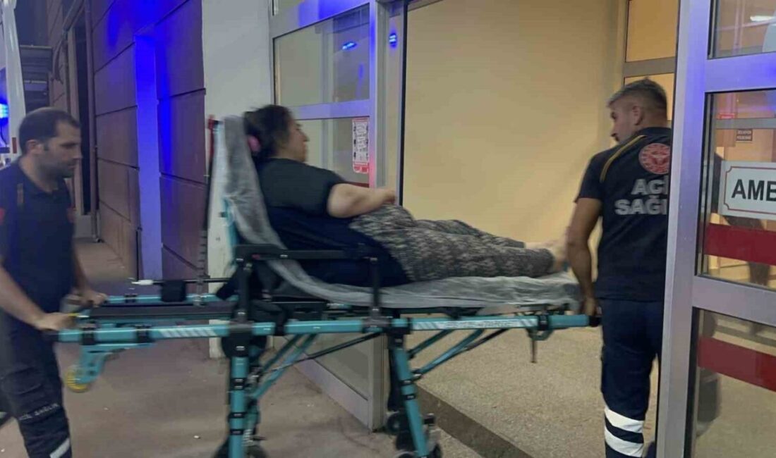 Adıyaman’da sürücünün direksiyon hakimiyetini kaybettiği otomobilin bariyerlere çarpması sonucu 1