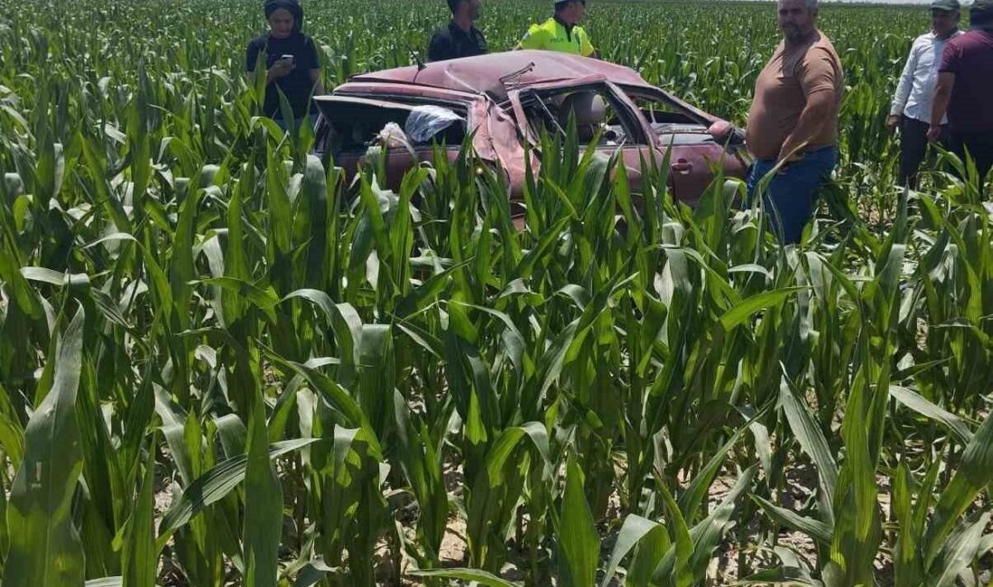Konya’nın Karapınar ilçesinde meydana gelen trafik kazasında 1 kişi yaralandı.