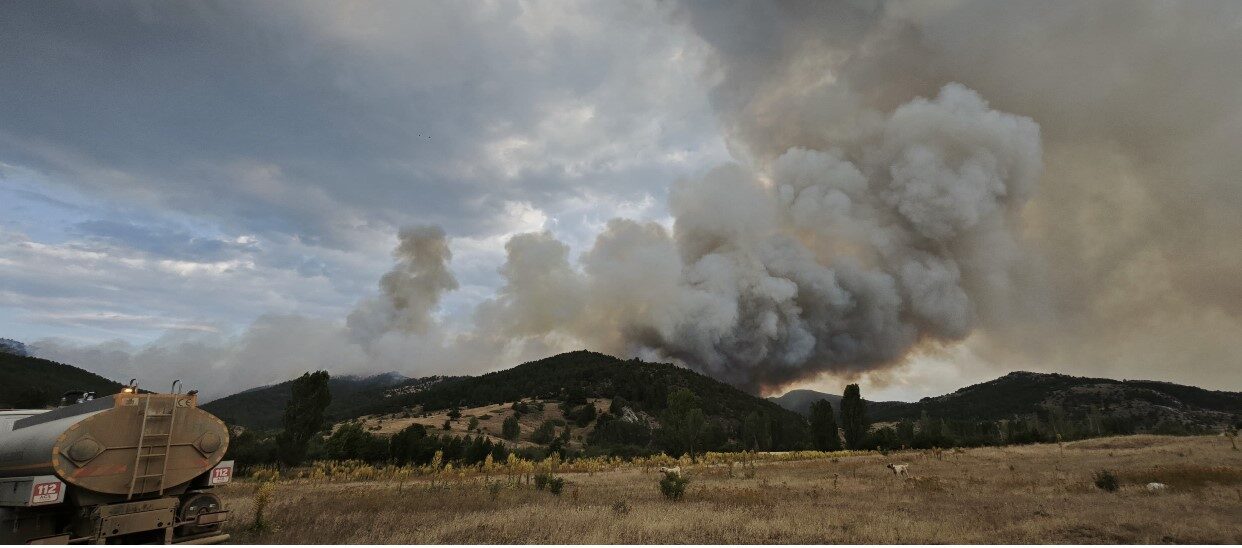 Konya’nın Doğanhisar ilçesinde sabah saatlerinde başlayan orman yangını, rüzgarın etkisiyle