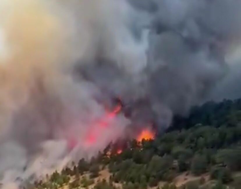 Konya’nın Doğanhisar ilçesinde pazartesi günü çıkan orman yangını kontrol altına