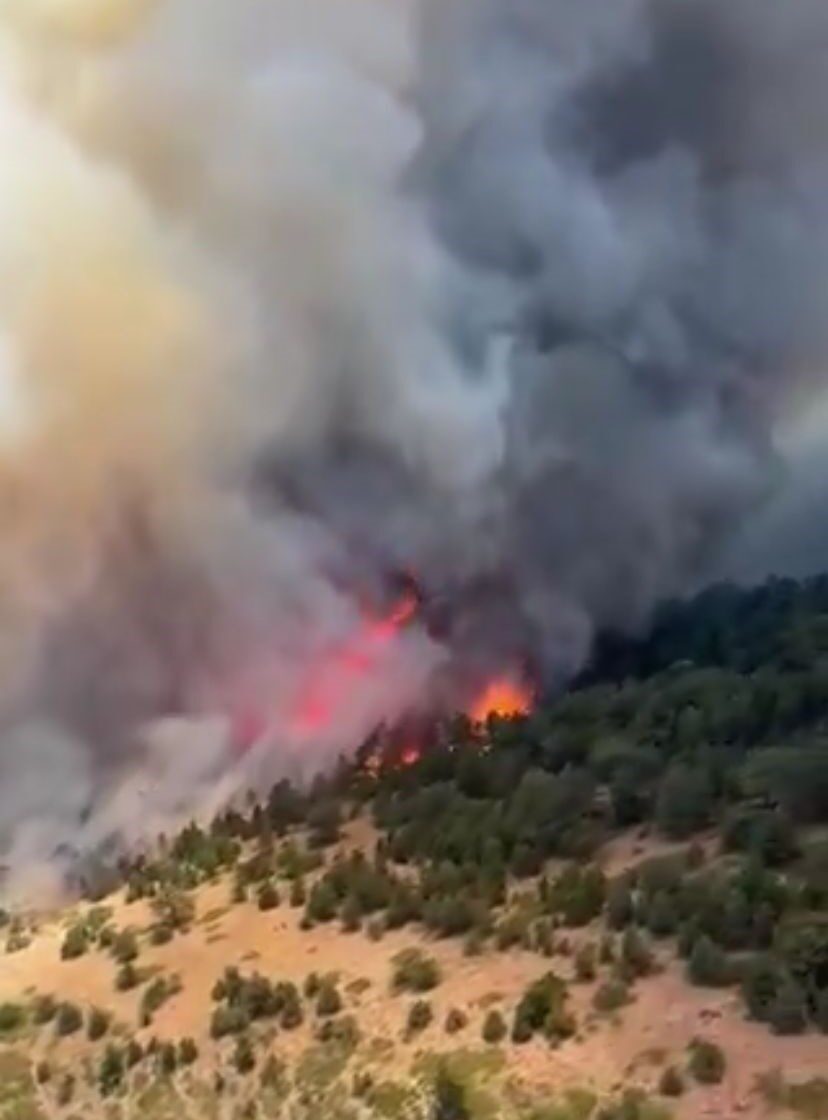 Konya’nın Doğanhisar ilçesinde pazartesi günü çıkan orman yangını kontrol altına