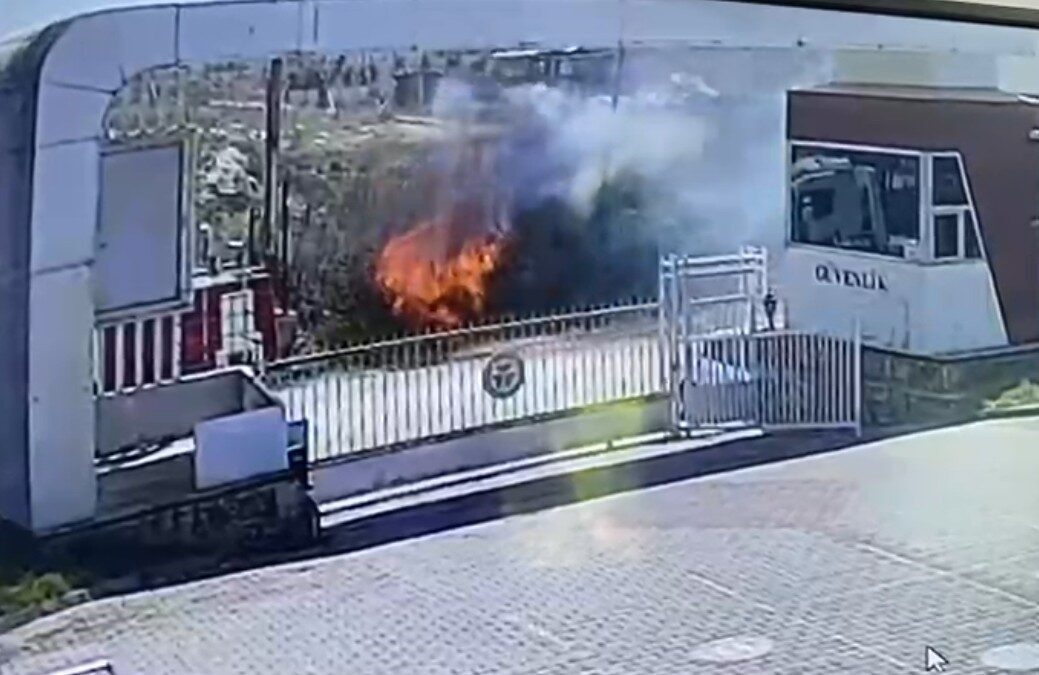 Antalya’nın Manavgat ilçesinde elektrik hattının kopması sonucu çıkan yangında hayvancılıkla