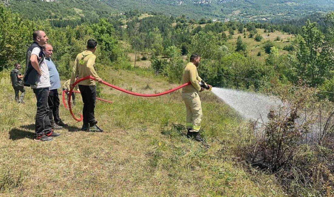 Bartın’ın Ulus ilçesinde yüksek gerilim hattından koparak yere düşen telden