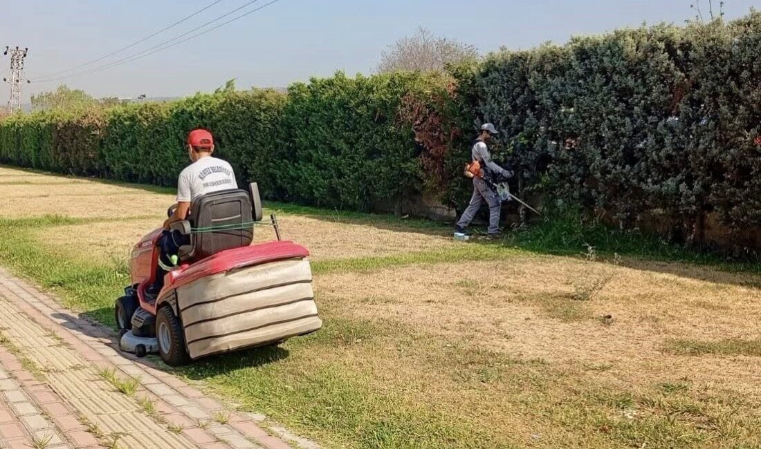 Körfez ilçesinde belediye ekipleri, yeşil alanlarda çim biçme ve bakım