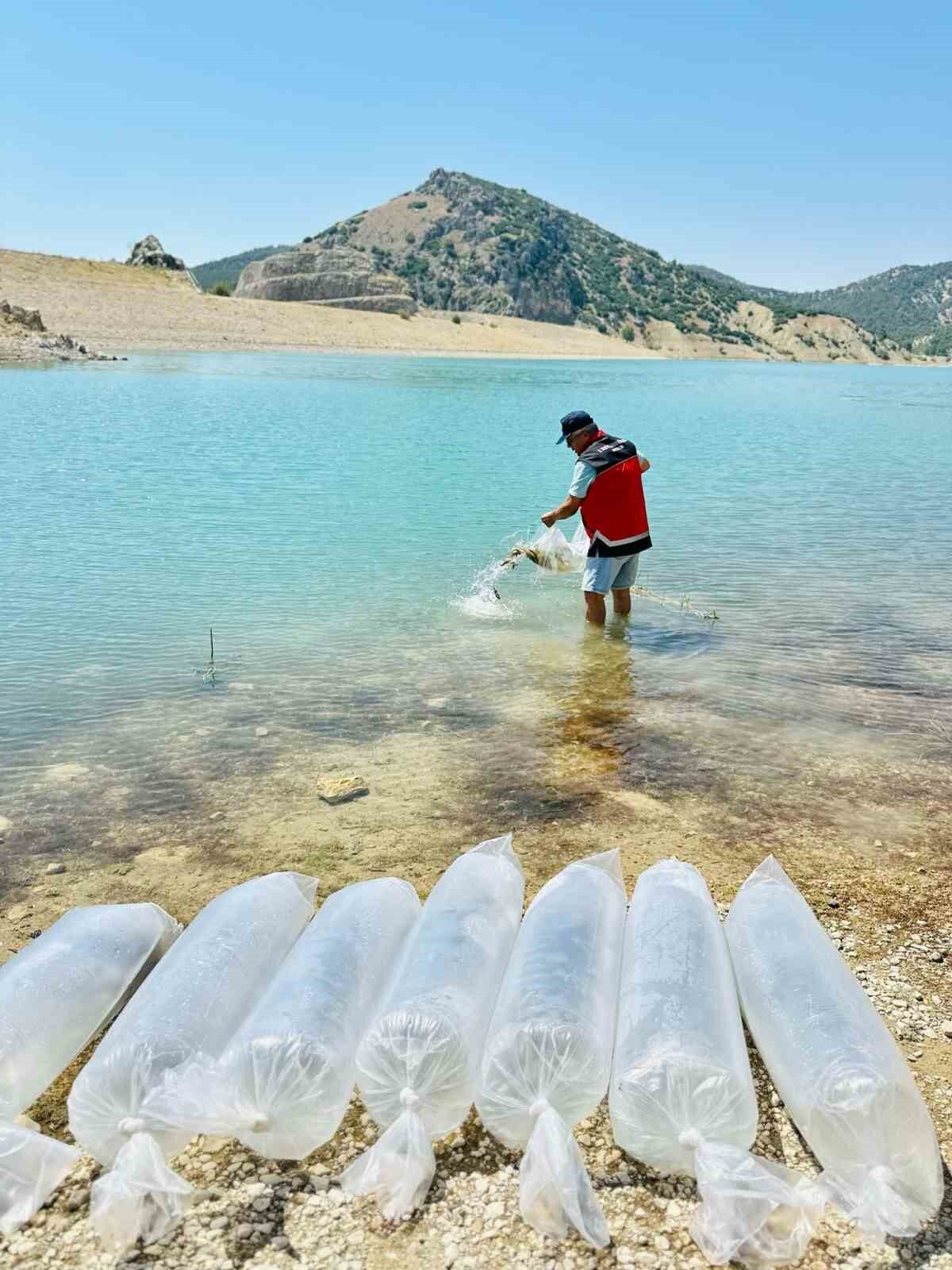 Tarım ve Orman Bakanlığı tarafından yürütülen “Su Kaynaklarını Balıklandırma Projesi”