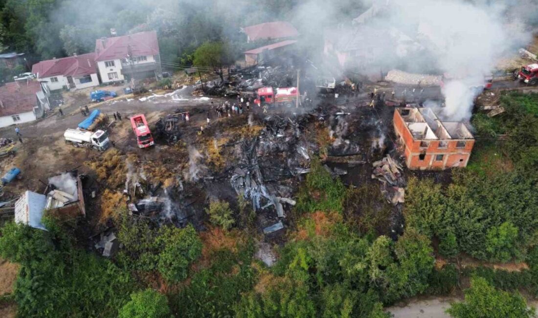Bolu’nun Mudurnu ilçesinde gece saatlerinde çıkan yangında 2 ev ve