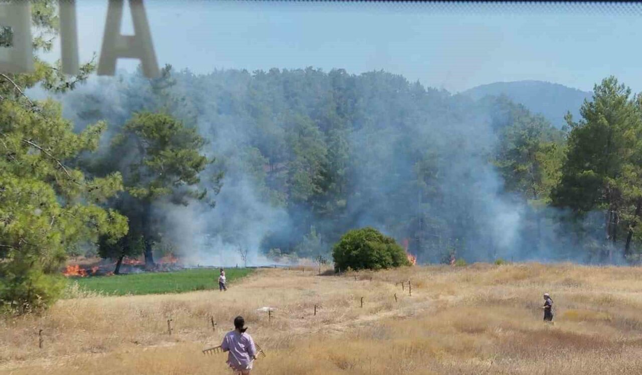 Muğla’nın Köyceğiz ilçesinde otluk alanda başlayan yangını orman ve itfaiye