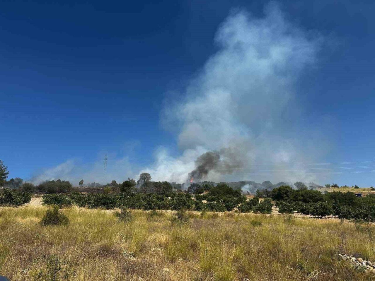 Denizli’nin Çal ilçesine bağlı Ortaköy Mahallesi’nde çıkan yangında 5 dekar