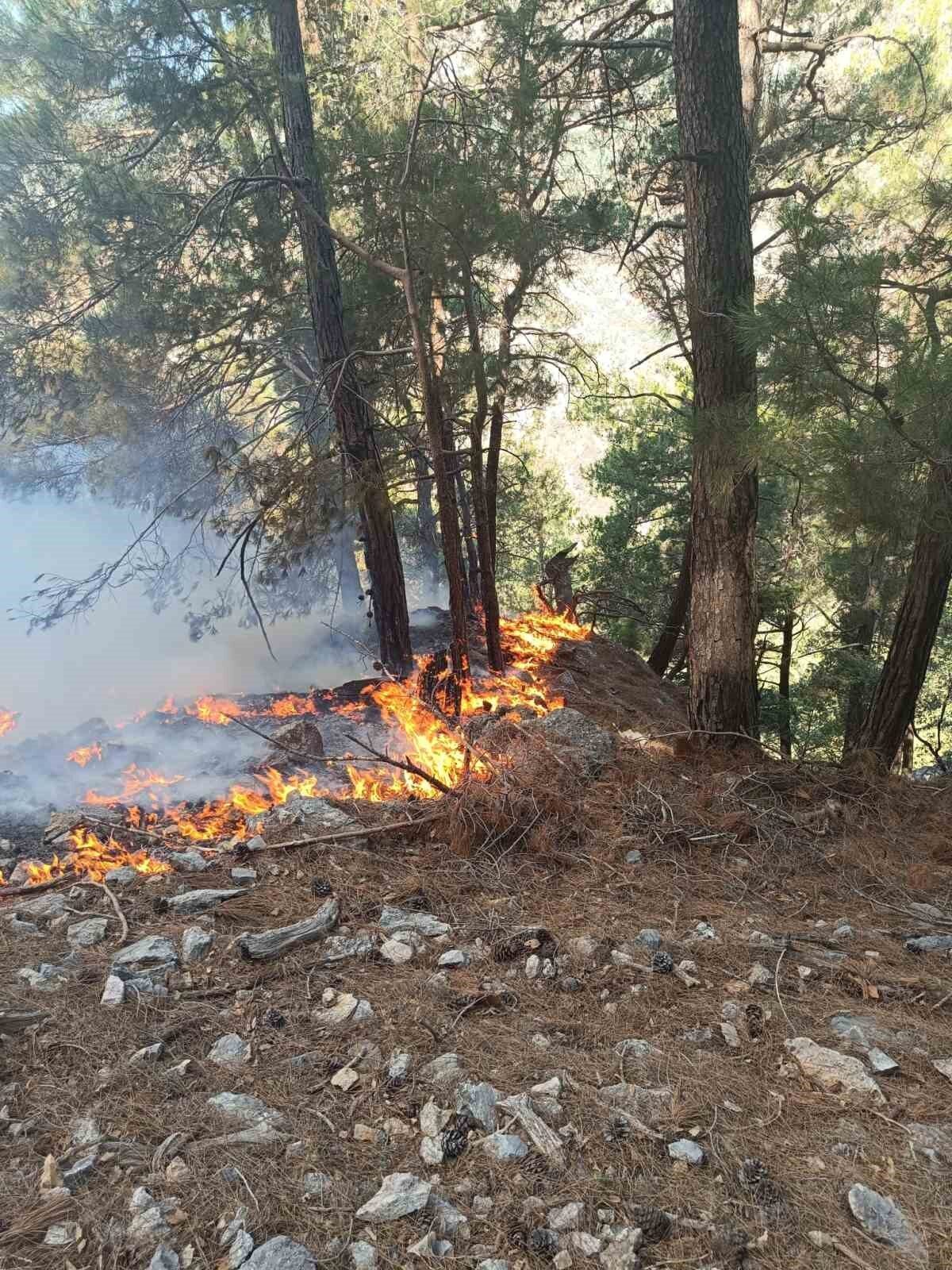 Adana’nın Kozan ilçesinde bulunan ormanlık alanda henüz bilinmeyen nedenle yangın