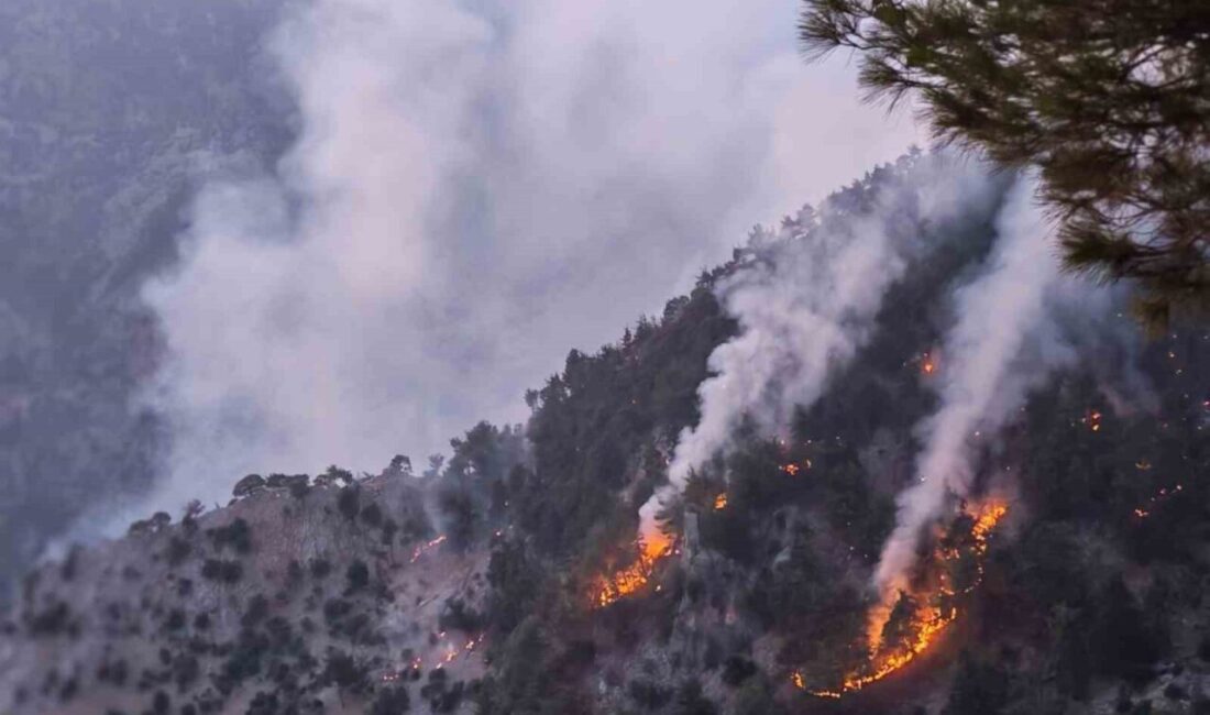 Adana’nın Kozan ilçesinde dün çıkan orman yangını kısmen kontrol altına