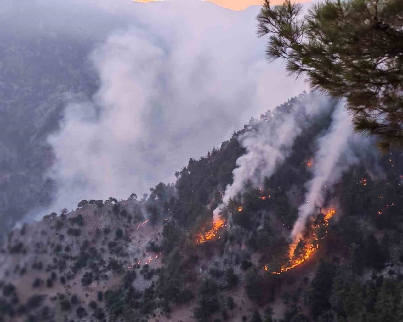 Adana’nın Kozan ilçesinde dün çıkan orman yangını kısmen kontrol altına