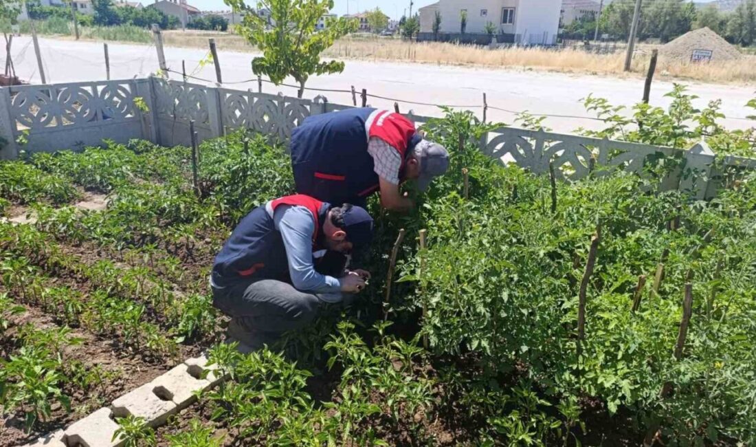 Afyonkarahisar İl Tarım ve Orman Müdürlüğü tarafından gerçekleştirilen ziyaretlerde, üreticilere