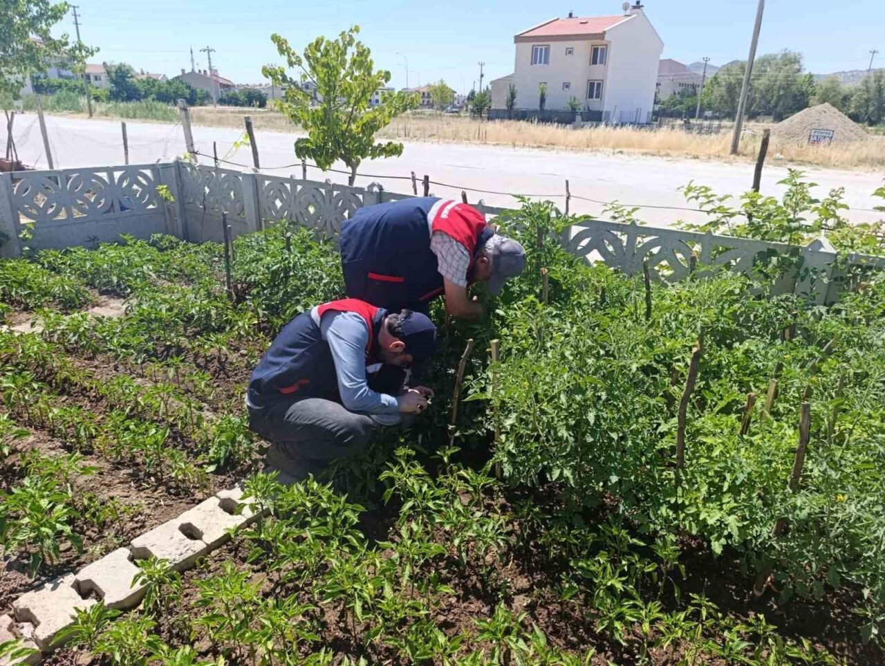 Afyonkarahisar İl Tarım ve Orman Müdürlüğü tarafından gerçekleştirilen ziyaretlerde, üreticilere
