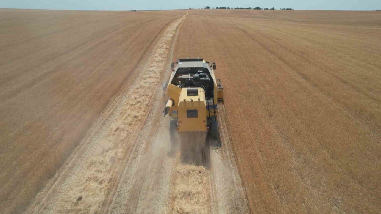 Anadolu’nun en verimli tahıl üretilen bölgelerinden biri olan Ankara’da buğday