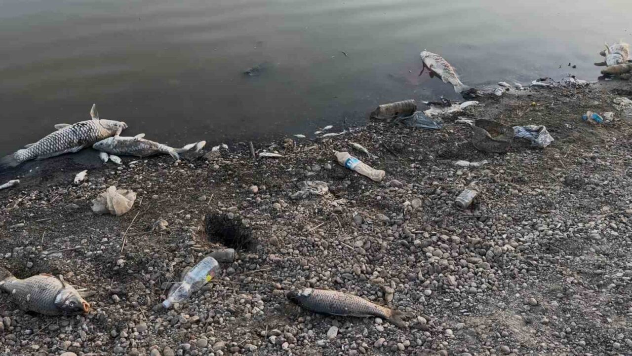 Tekirdağ’ın Muratlı ilçesi Yeşilsırt Mahallesi’ndeki barajda kuraklık nedeniyle suyun büyük