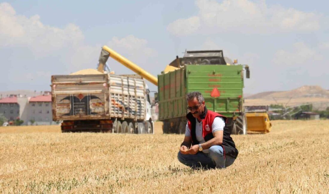 Van’da ilkbahar ve sonbahar mevsiminde yağışların az olması, çiftçileri olumsuz