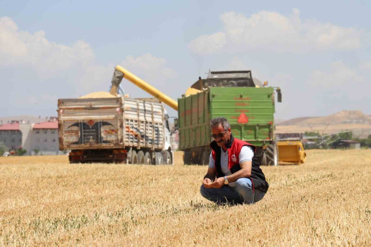 Van’da ilkbahar ve sonbahar mevsiminde yağışların az olması, çiftçileri olumsuz