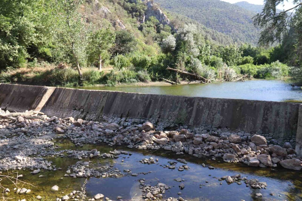Bilecik’te Göksu Nehri üzerinde bulunan Düzmeşe Benti yaşanan kuraklığa orman