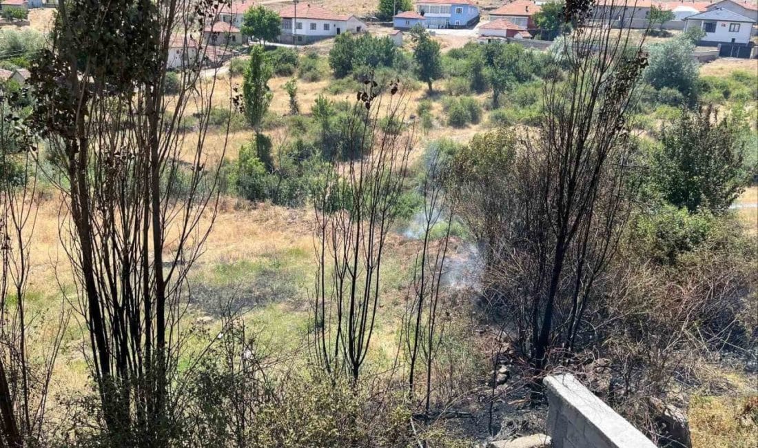 Kuru otları temizlemek isterken yangın çıkarttı, 2 bin 953 lira
