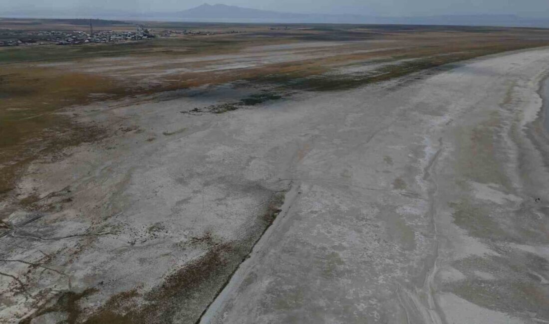 Bitlis’in Adilcevaz ilçesinde bulunan ve birçok kuş türüne ev sahipliği