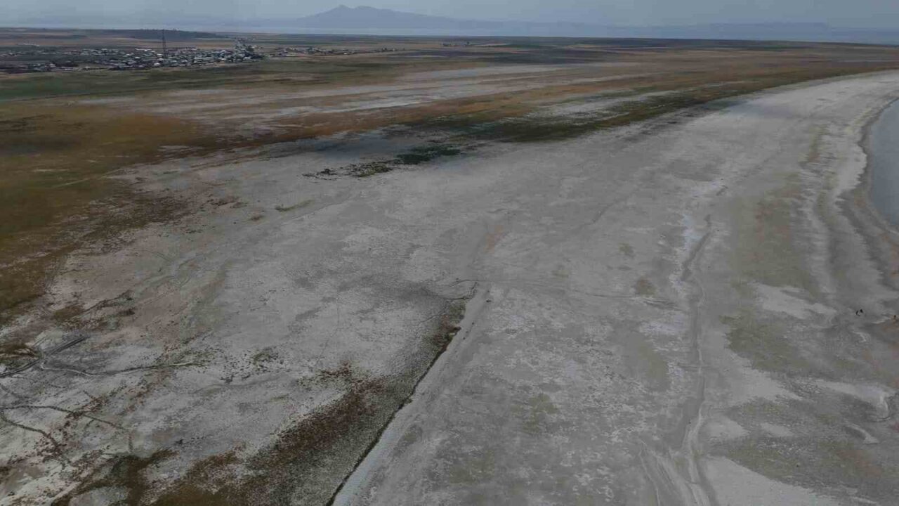 Bitlis’in Adilcevaz ilçesinde bulunan ve birçok kuş türüne ev sahipliği