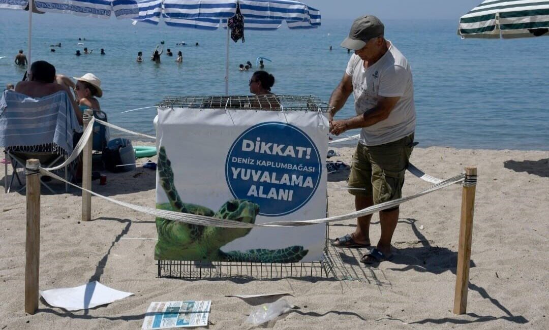 Aydın’ın Kuşadası ilçesinde yaz döneminin ilk caretta caretta yuvası belirlenerek