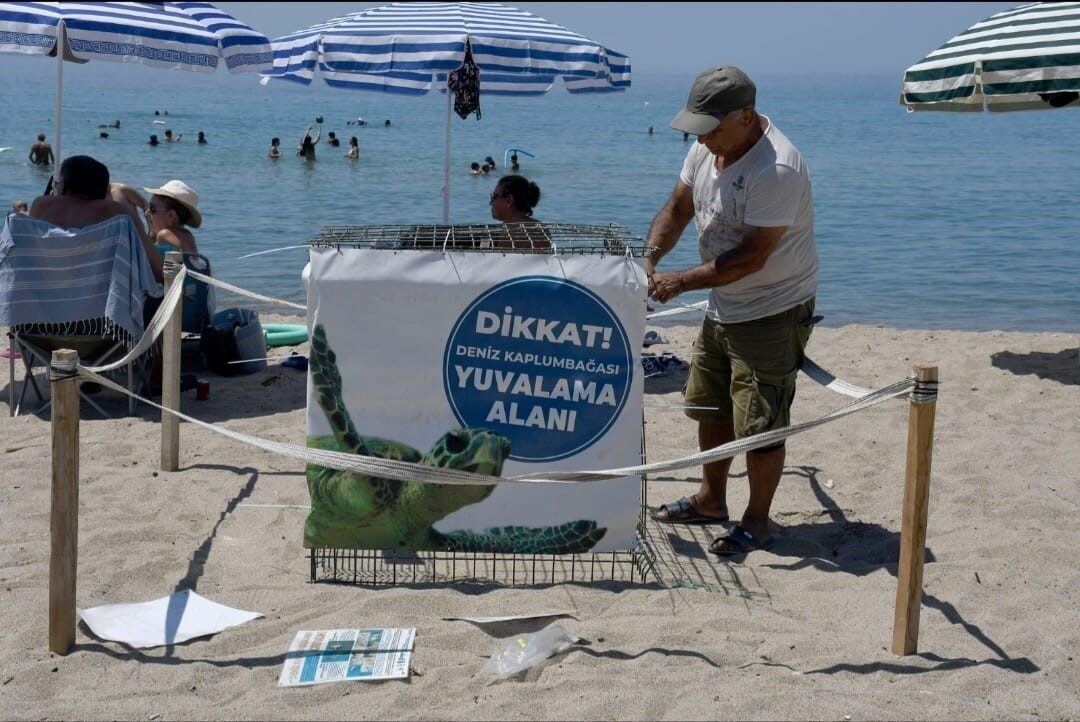 Aydın’ın Kuşadası ilçesinde yaz döneminin ilk caretta caretta yuvası belirlenerek