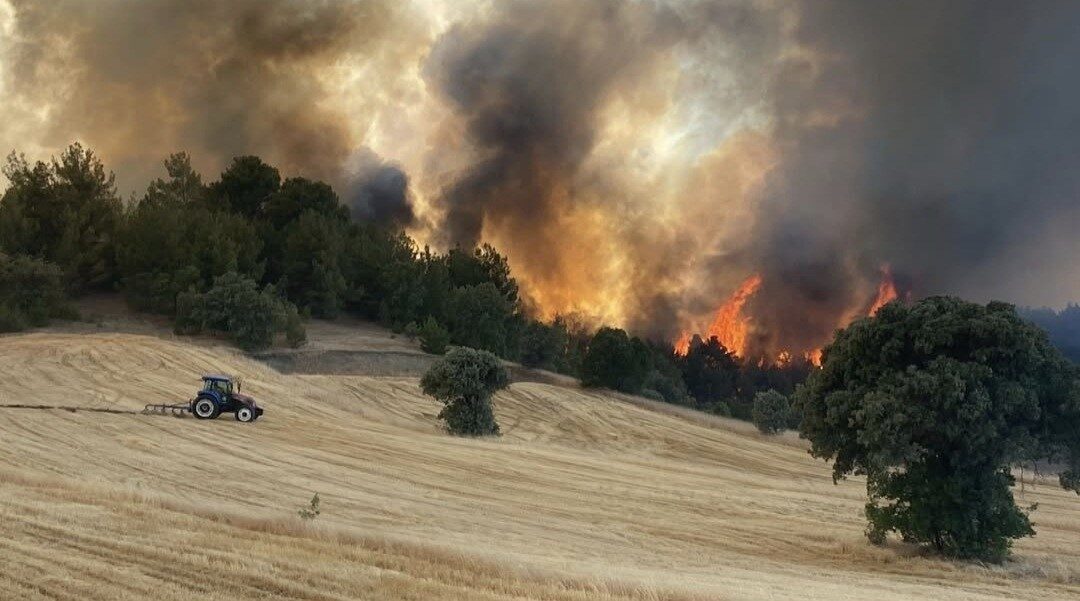 Uşak-Kütahya sınırında saman balya makinasından ziraat arazisinde çıkan ve ormanlık