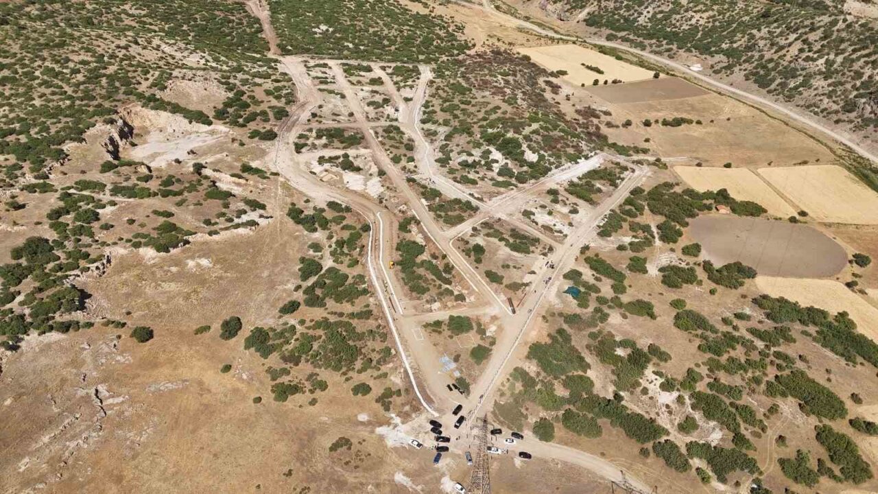 Kütahya Valisi Musa Işın, sahipsiz hayvanlara yönelik yürütülen çalışmalar hakkında