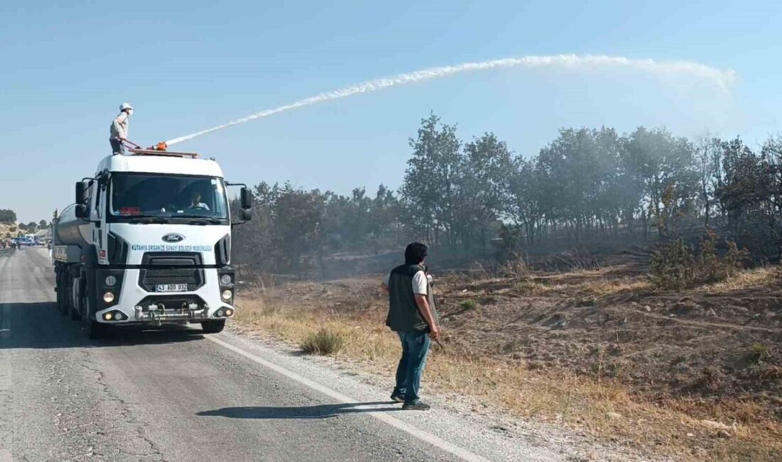 Kütahya’da otluk alanda çıkan ve ormana sıçrayan yangın ekiplerin zamanında