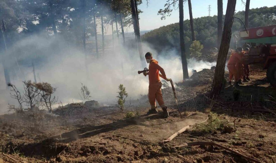 Kütahya’nın Tavşanlı ilçesi Tunçbilek beldesinde ormanlık alanda yangın çıktı. Tunçbilek
