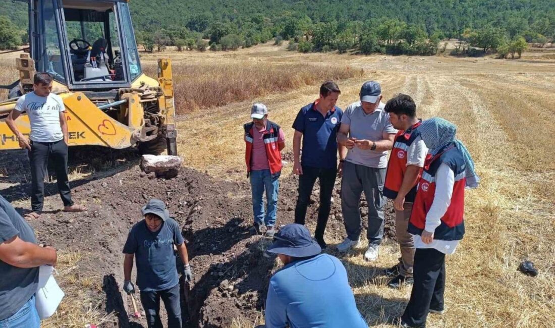 Türkiye İklim Akıllı ve Rekabetçi Tarımsal Büyüme Projesi (TUCSAP) çerçevesinde,