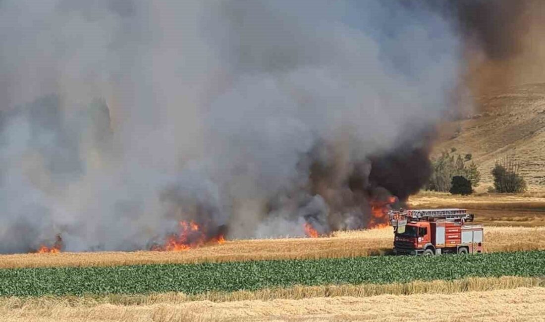 Kütahya’nın Altıntaş ilçesinde çıkan tarla yangınında, yaklaşık 800 dekar hububat