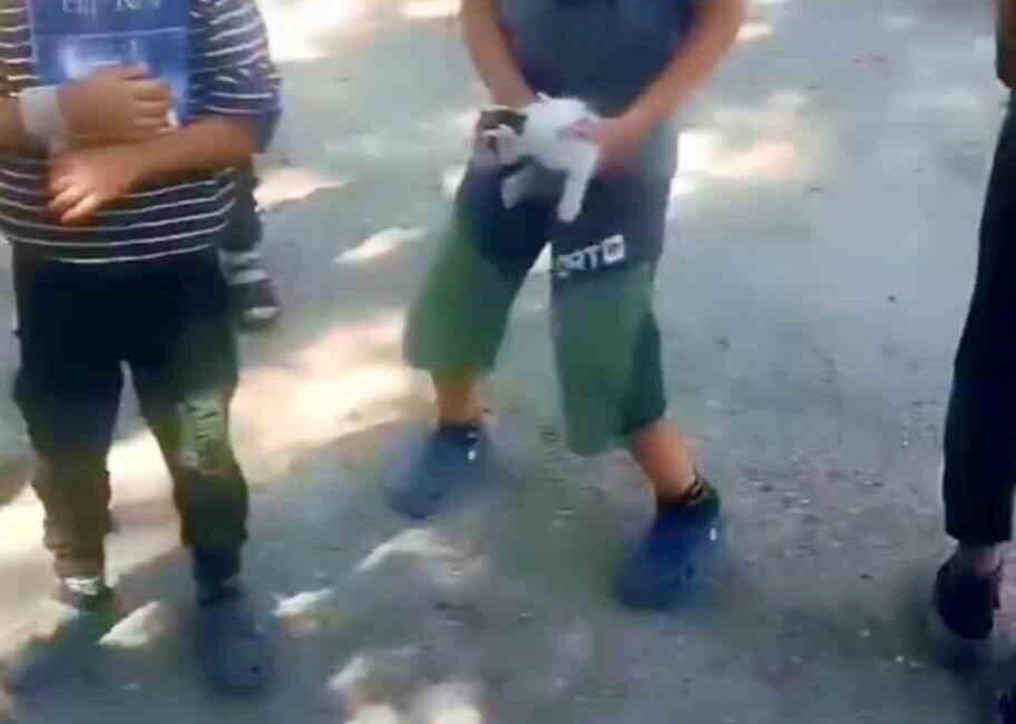 Ağrı’nın Patnos ilçesinde kuyuya düşen ve çıkmayı başaramayan kedi çevredeki