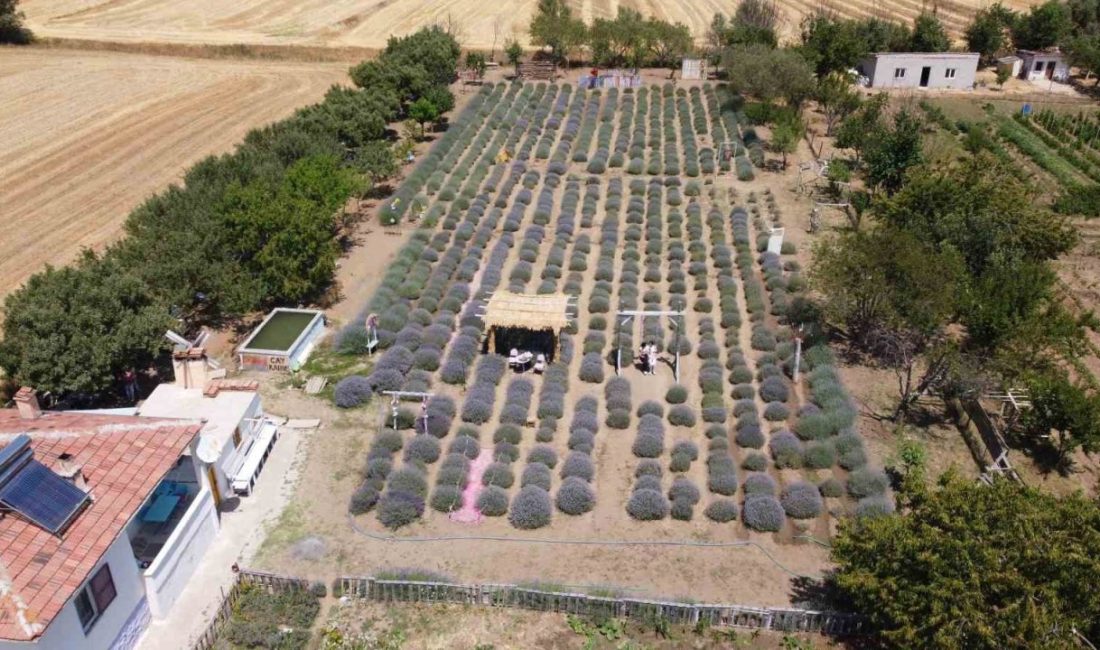 Yozgat’ta yaşayan genç girişimci Murat Özyılmaz, 2015 yılında kurmayı hayal