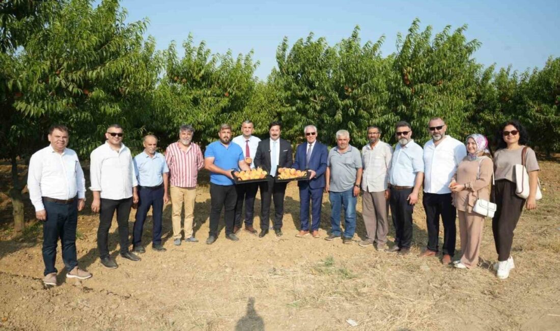 Libya Yenişehir arasında yapılacak olan tarım ürünlerinin ihracatı konusunda sona