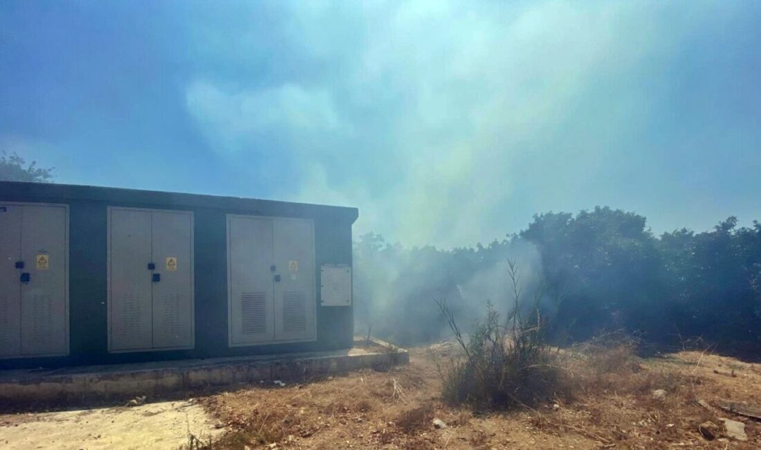 Antalya’da lüks villalara yakın ağaçlık alanda çıkan yangın, içerisinde saman