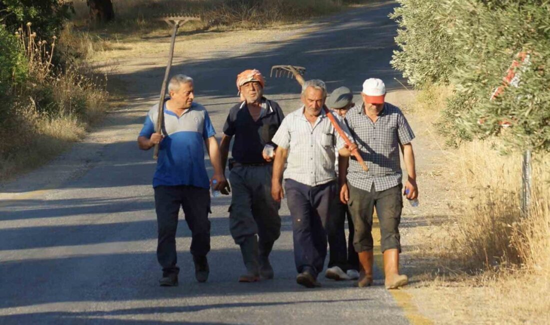 Aydın’ın Efeler ilçesinde çıkan yangın ekipler tarafından söndürülürken, mahalle sakinleri