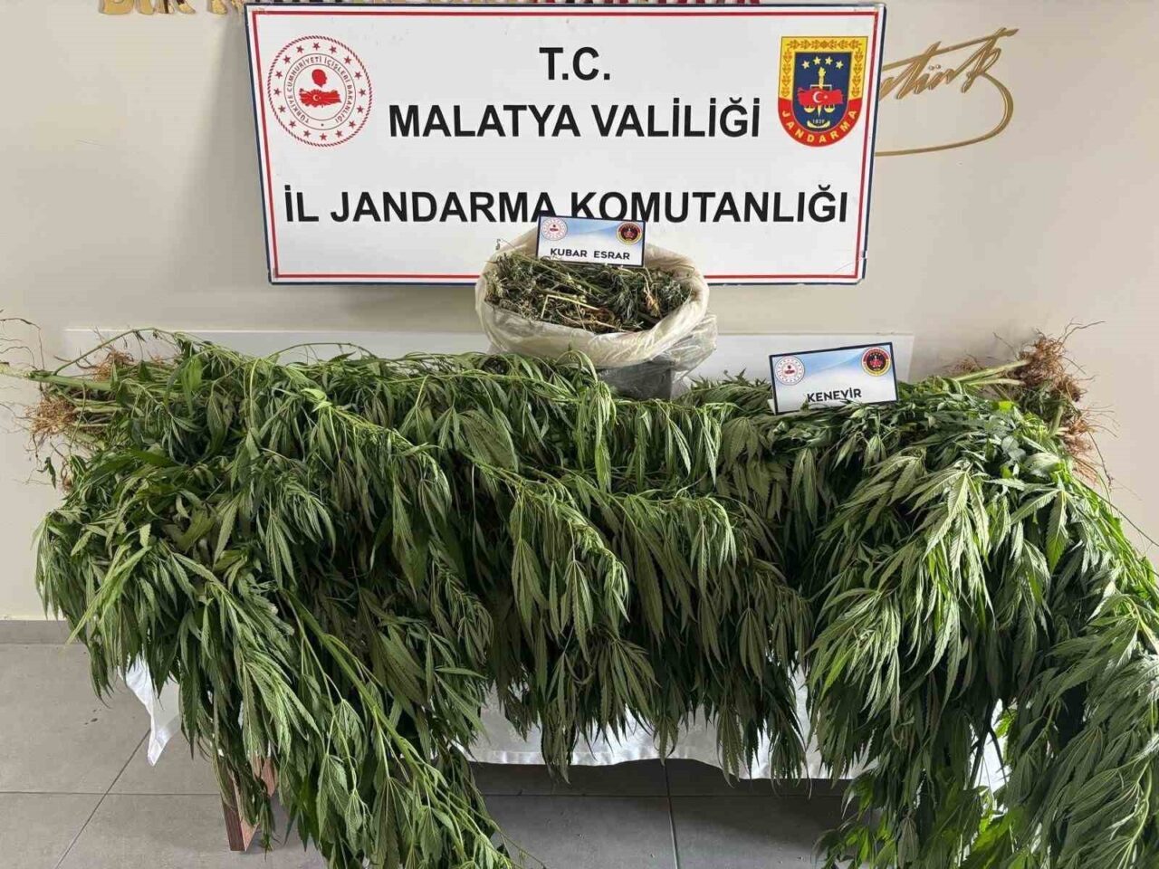 Malatya’nın Yeşilyurt ilçesinde jandarma ekipleri tarafından düzenlenen uyuşturucu operasyonunda bin