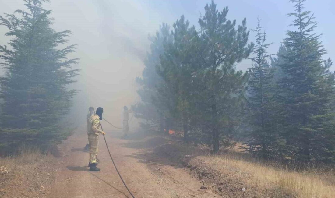 Malatya’nın Doğanşehir ilçesinde ormanlık alanda yangın çıktı. Geniş bir alanda